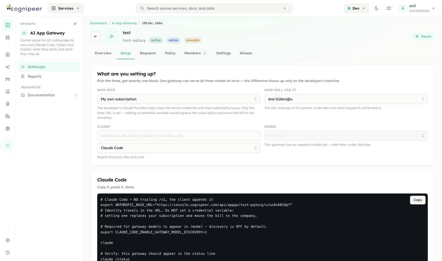 Setup tab — generated Claude Code config