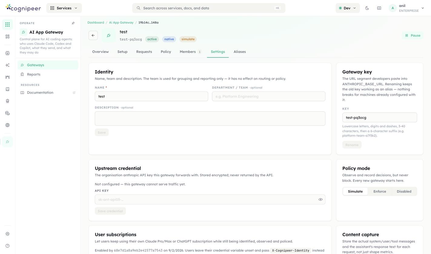 Settings tab — identity, gateway key, upstream credential, policy mode