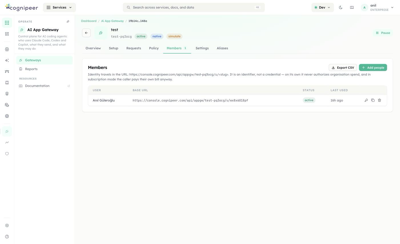 Members tab — per-user Base URL and identity explanation