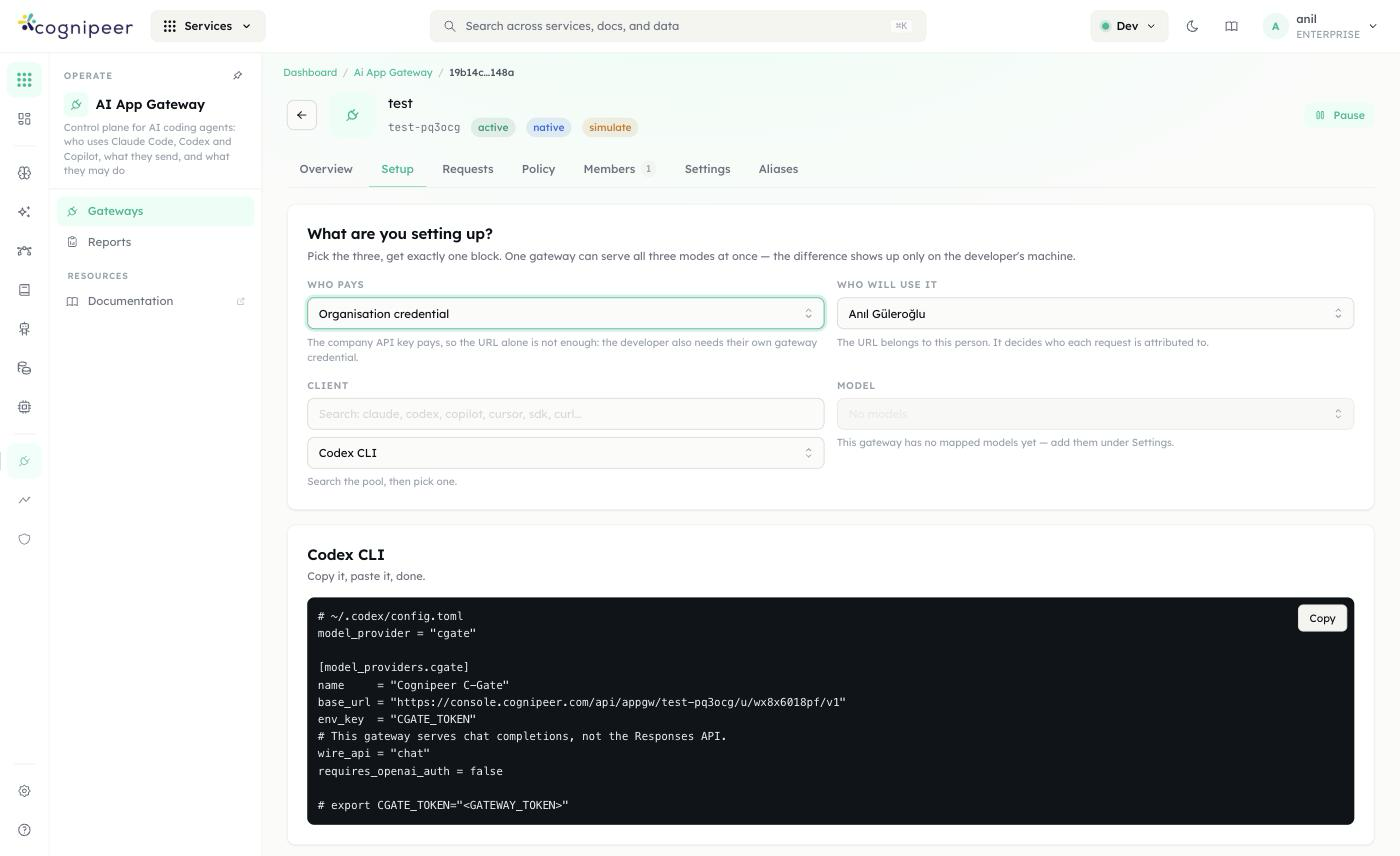 Setup tab — Codex CLI with a working Organisation credential config