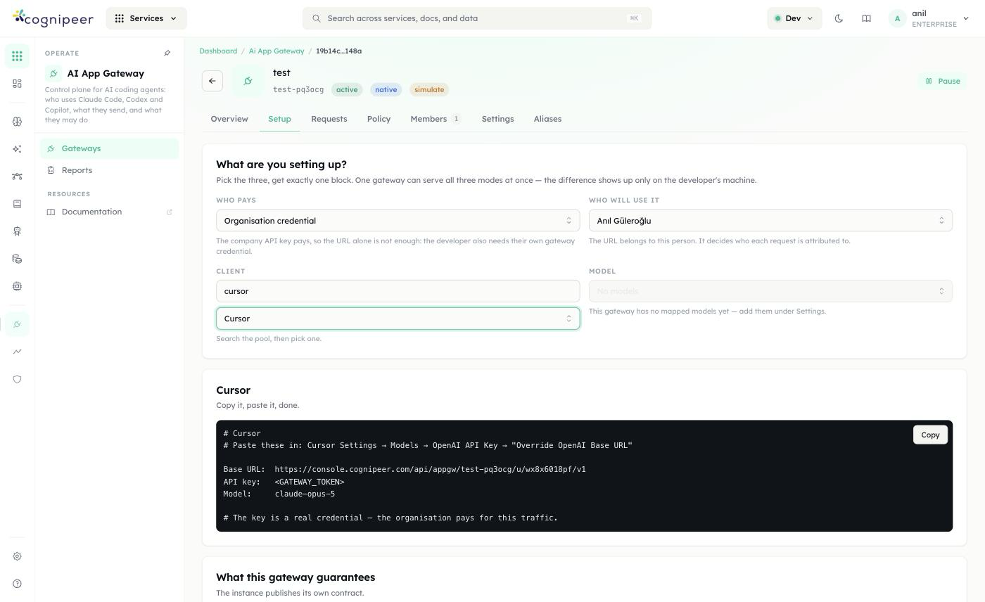 Setup tab — generated Cursor config under IDEs & extensions