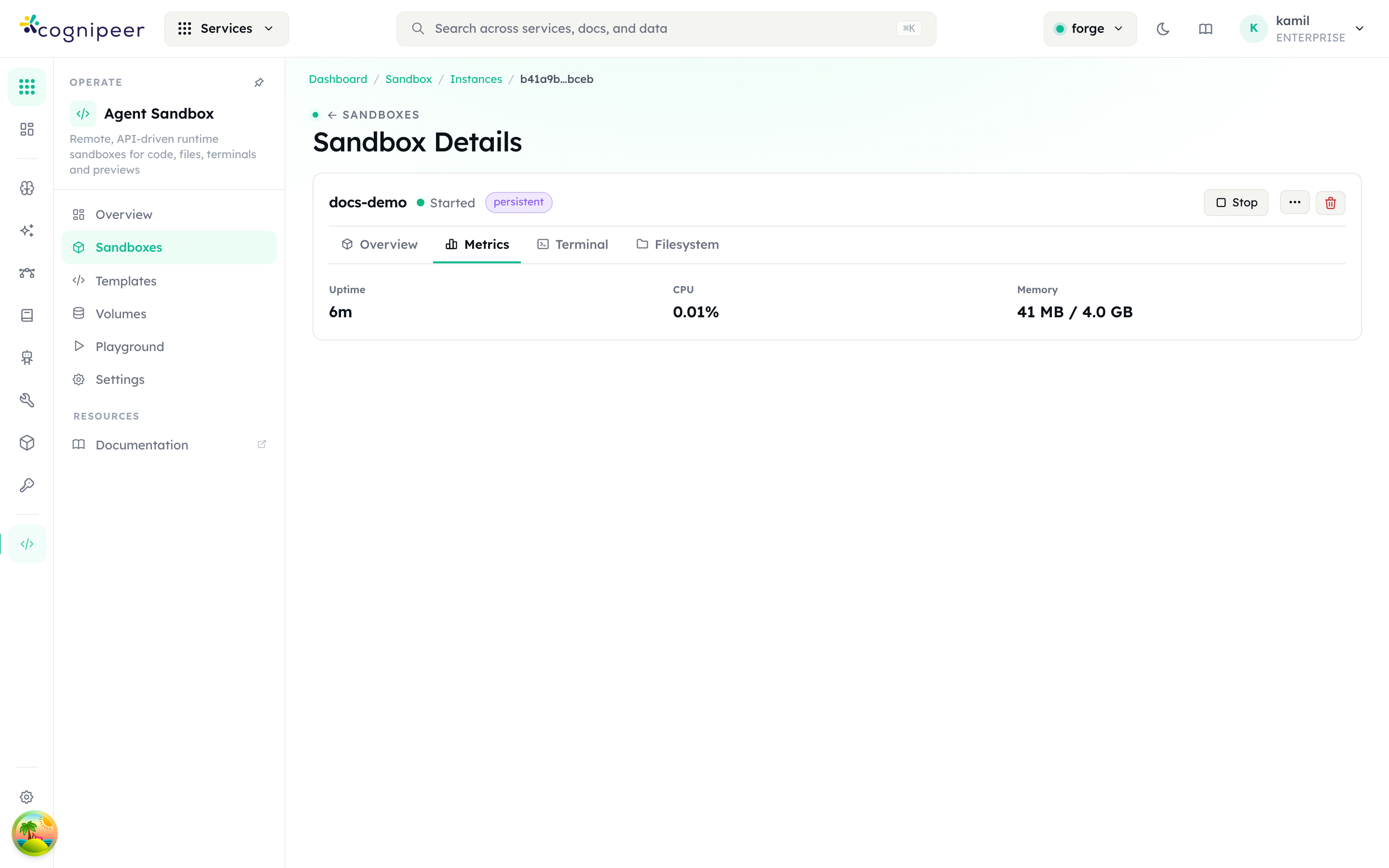 Sandbox detail — metrics