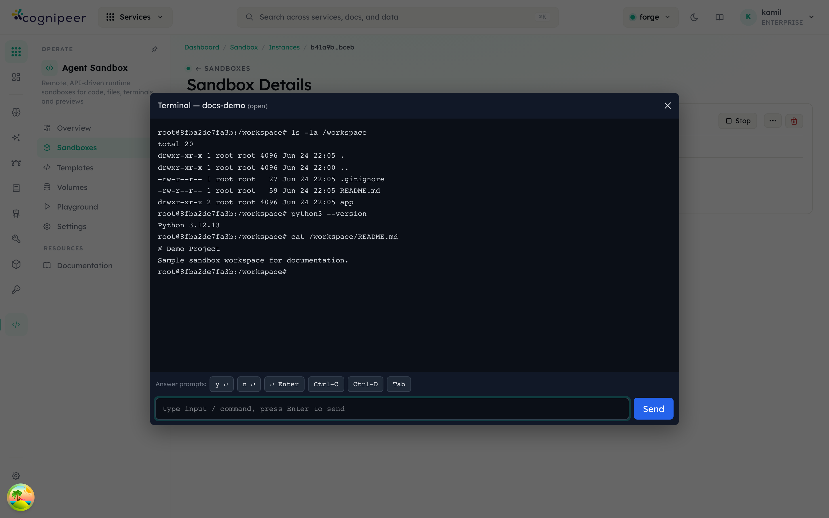 Sandbox detail — terminal